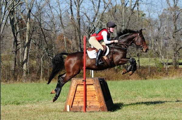 Riding a horse over a cross-country jump in eventing competition