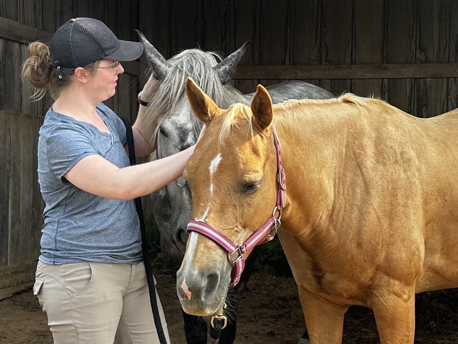 Practitioner working with two horses in a barn